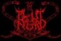 Canciones traducidas de blut aus nord
