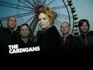 the cardigans