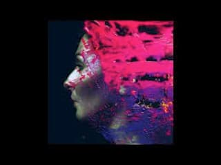 steven wilson