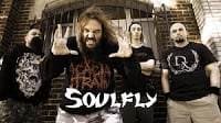 soulfly