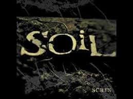 soil
