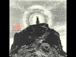 the shins