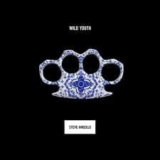 steve angello feat. the presets
