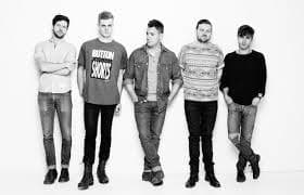 wild cub