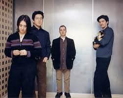 the magnetic fields