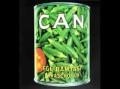 Canciones traducidas de can