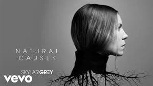 skylar grey ft. eminem