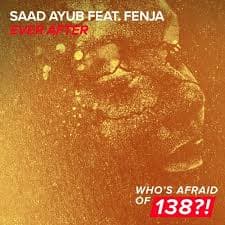 saad ayub feat. fenja