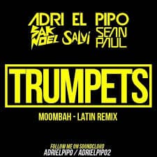 sak noel and salvi feat. sean paul