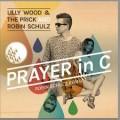 Canciones traducidas de lilly wood and the prick feat. robin schulz