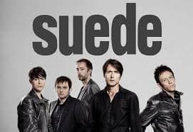 suede