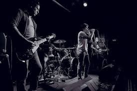 the voiders