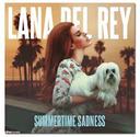 Summertime sadness