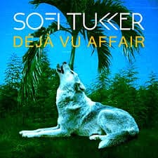 sofi tukker