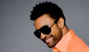 shaggy