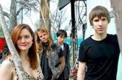shearwater
