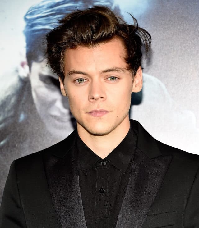 harry styles